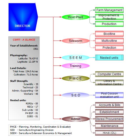 Organisation chart 